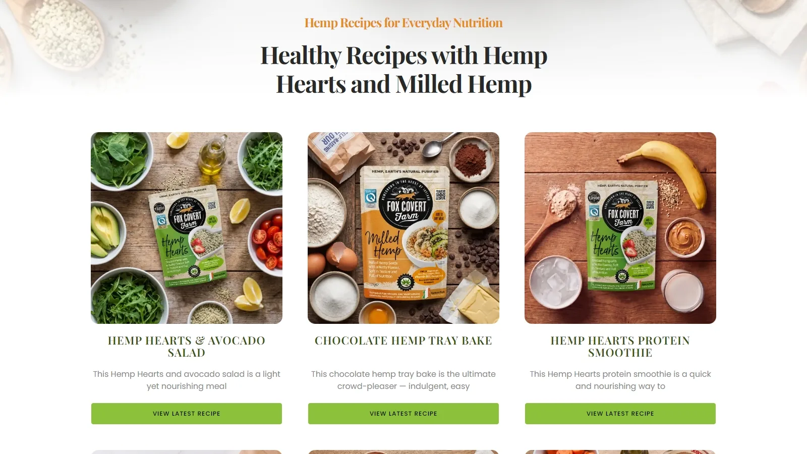 Recipes · Long-Tail SEO Content