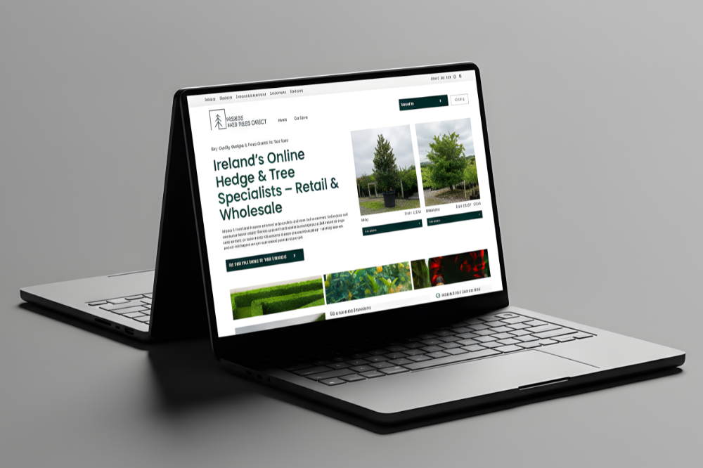 Laois web design project example