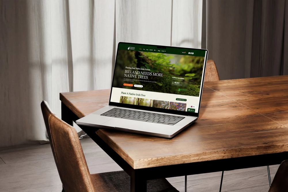 Web design project example